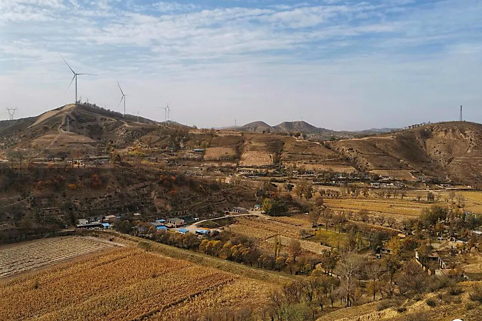 171763344845163650.jpg a10872c73aba0115d197479a41e758b.jpg