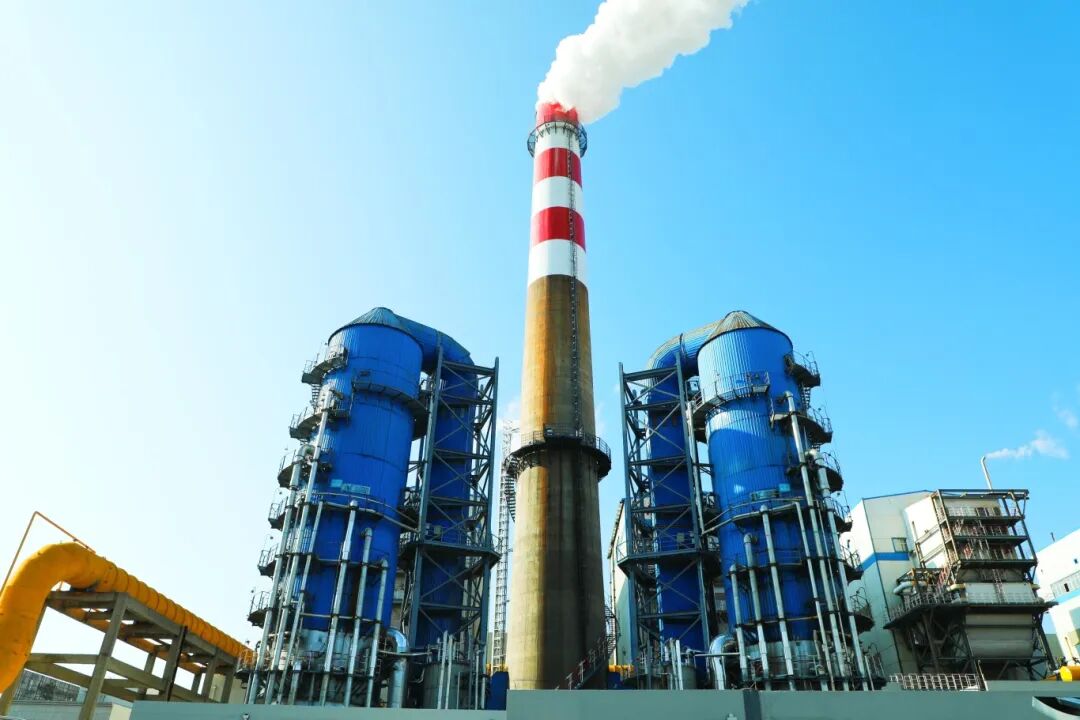 201768871797746294.jpg 微信圖片_2026-01-20_091553_149.jpg